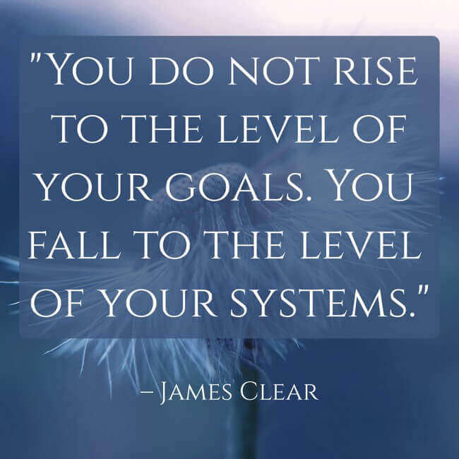 you-do-not-rise-to-the-level-of-your-goals-you-fall-to-the "You do not rise to the level of your goals. You fall to the level of your systems." – James Clear